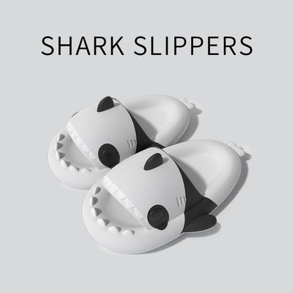 Cat Shark - DAILY SLIPPERS