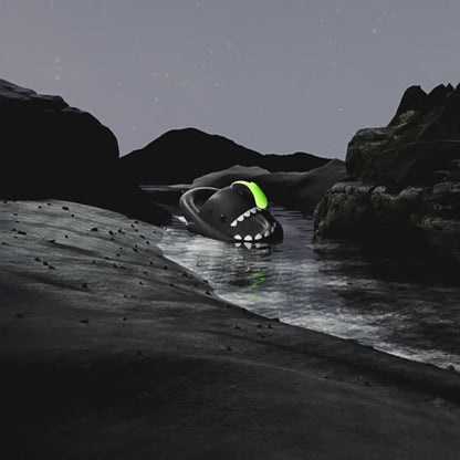 Lantern Fish Slippers